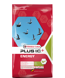 Versele-Laga Energy Plus (Racing Mix) Pigeon Food 18KG