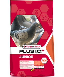 Versele-Laga Junior Plus Mixture Pigeon 20KG