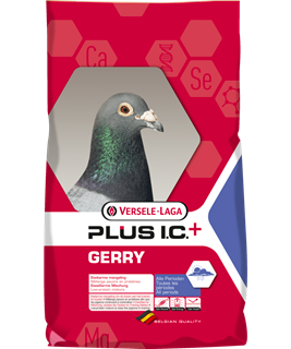 Versele-Laga Gerry Plus Pigeon Feed 22KG