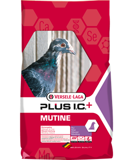 Versele-Laga Mutine Moulting Mixture Pigeon 20kg/44lb
