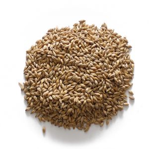 Baden Malt Barley 22.68kg/50lb
